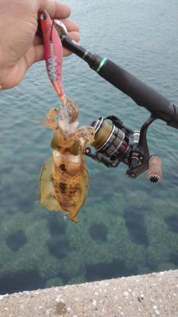 清掃活動からのエキング