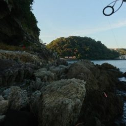 シーバス&ロックフィッシュ