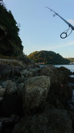 シーバス&ロックフィッシュ