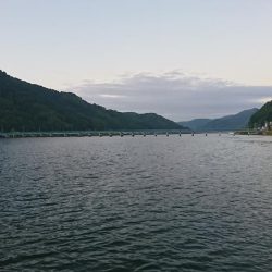 シーバス活性高め