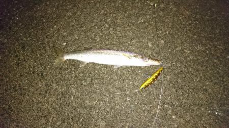 カマッシングかましたった