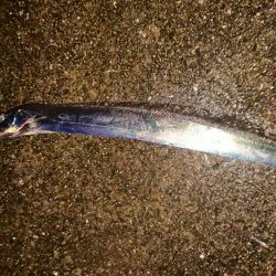 雨中粘ってみたが