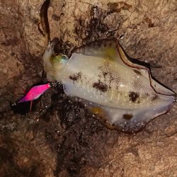 渋いながらもチョイ良型