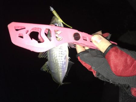 晴れ間のアジング