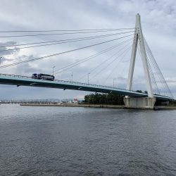 ボイル!ボイル!ボイル!