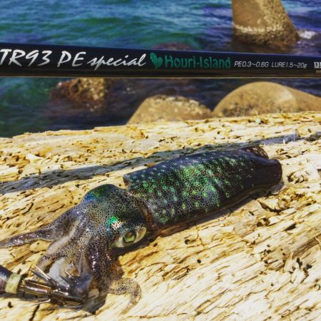 秋アオリイカ釣行