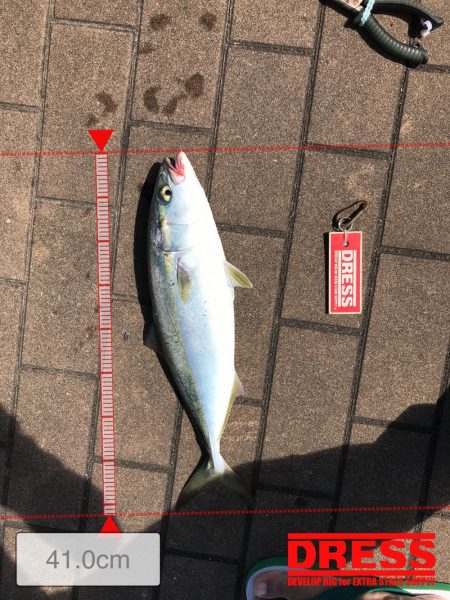 9月20日神戸ツバス大