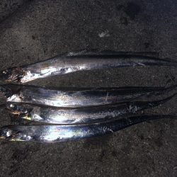 なかなかのらない