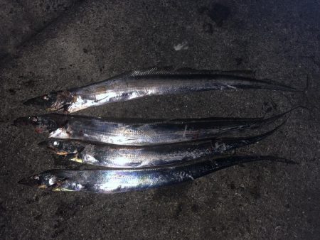 なかなかのらない