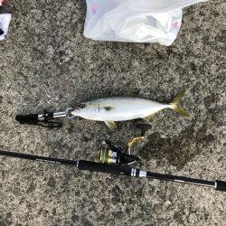 【岸和田一文字】台風前強行 ショアジギング