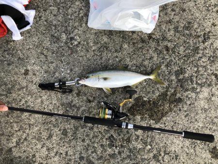 【岸和田一文字】台風前強行 ショアジギング…