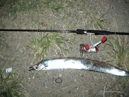 ｻｰﾍﾞﾘﾝｸﾞ