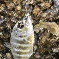 トップキターーーッ！！！