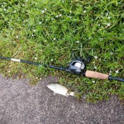 ちょっと寄り道