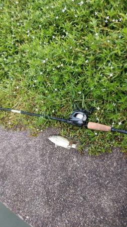 ちょっと寄り道