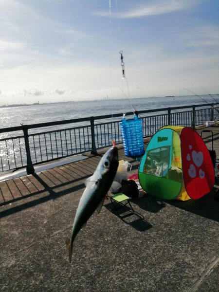 ファミリーフィッシング