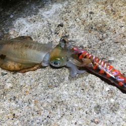 7時間で3杯とか・・・