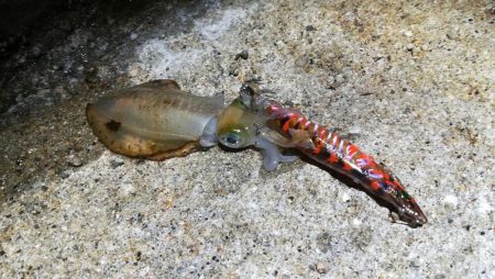 7時間で3杯とか・・・