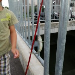 仕事の合間に❗