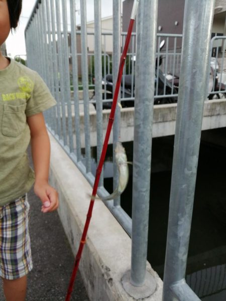 仕事の合間に❗