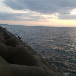 ワインドとアジング