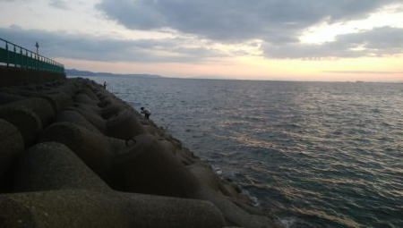 ワインドとアジング