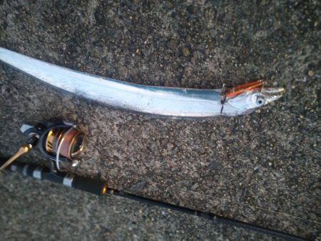 武庫川一文字で五目狙いでの釣果