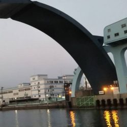 テクトロ万歳！