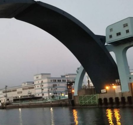 テクトロ万歳！