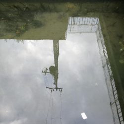 お休みなので❗