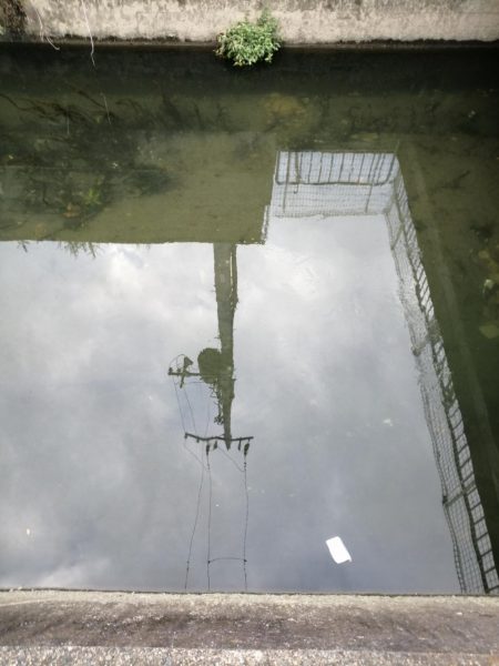 お休みなので❗