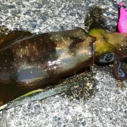 12時間で5杯とか・・・