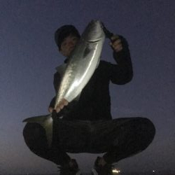 初場所でミノー!62cmハマチ?メジロ!?