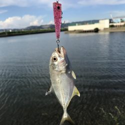 定番のメッキポイントその2