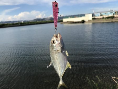 定番のメッキポイントその2