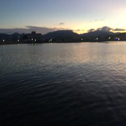 コアジ53匹、メッキ1匹