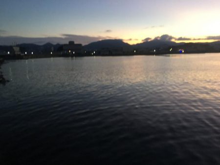 コアジ53匹、メッキ1匹