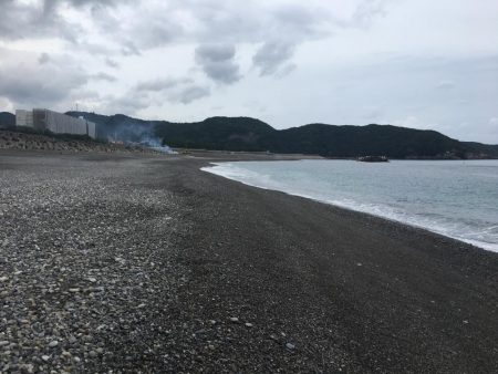 日置大浜にシマアジはいない