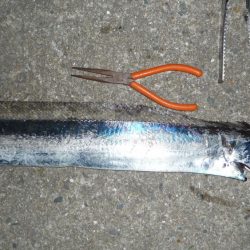 太刀F4でも長さはF2;;