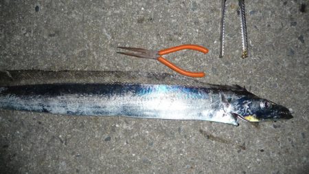 太刀F4でも長さはF2;;