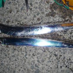 今日も太刀のみ。。