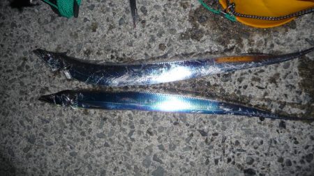 今日も太刀のみ。。