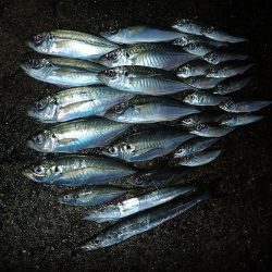 外向きと内向き!