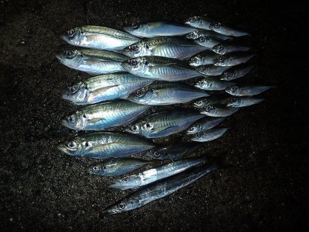 外向きと内向き！