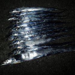 ワインドでガツンっとカウンターヒット!