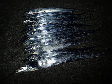 ワインドでガツンっとカウンターヒット!