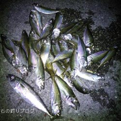 晩のおかず釣り