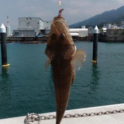 真昼間のキス釣り