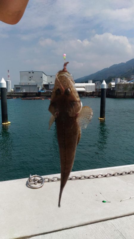 真昼間のキス釣り