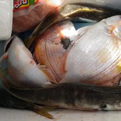 2019年7月末台風のリベンジ